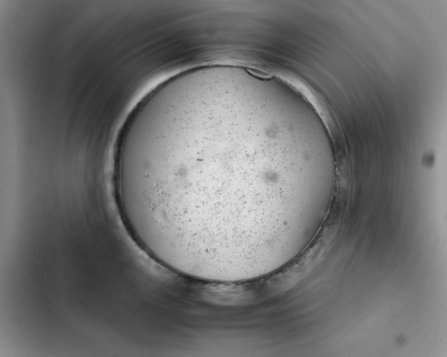 X0000102521147200808221835