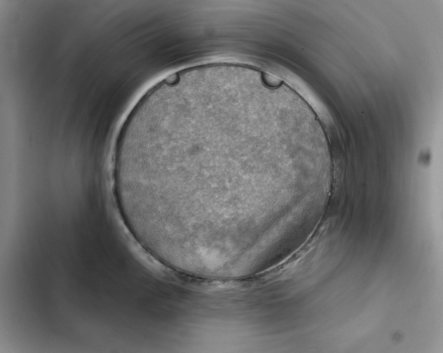 X0000102521148200808221835