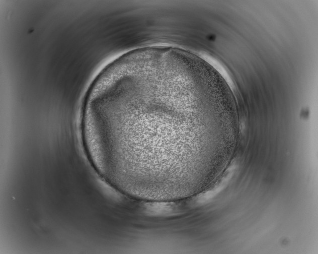 X0000102521149200808221836