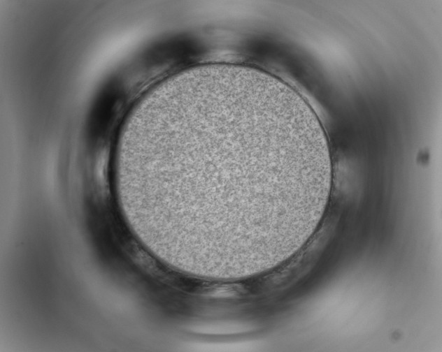 X0000102521150200808221836