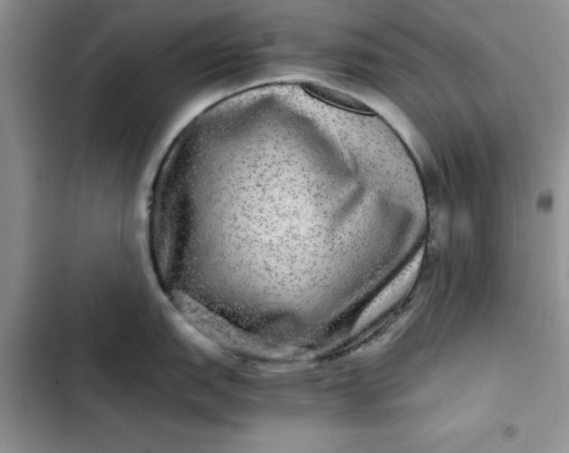 X0000102521151200808221836