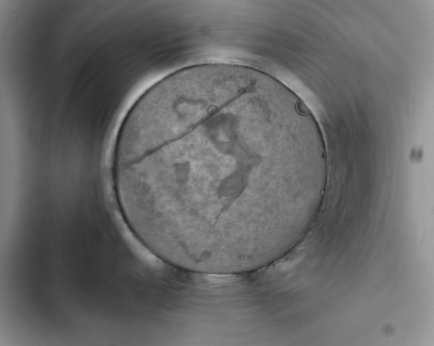 X0000102521152200808221836