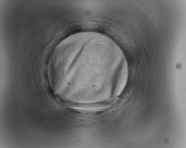 X0000102521153200808221835