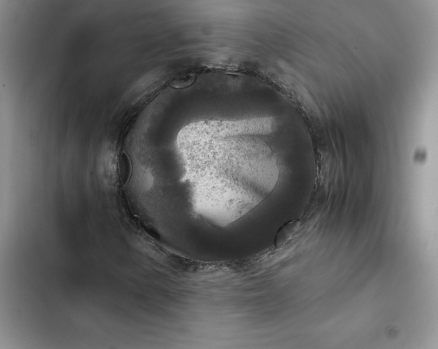 X0000102521154200808221835