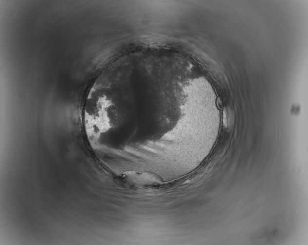 X0000102521155200808221835