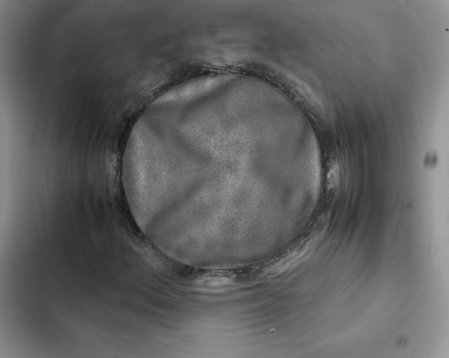 X0000102521156200808221835