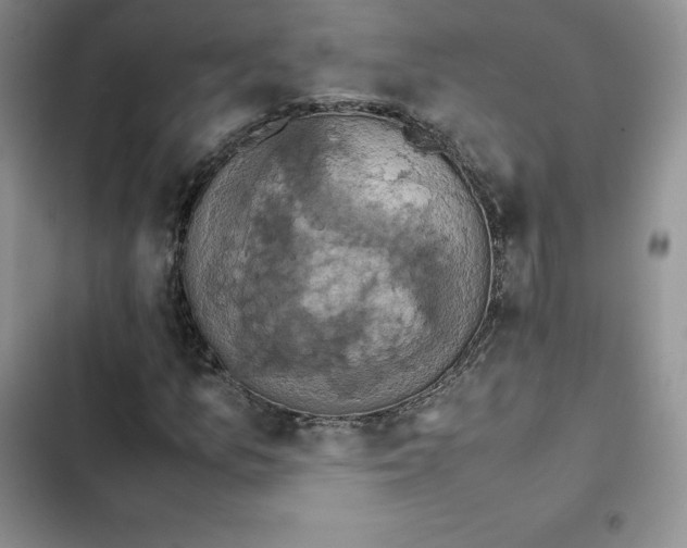 X0000102521157200808221835