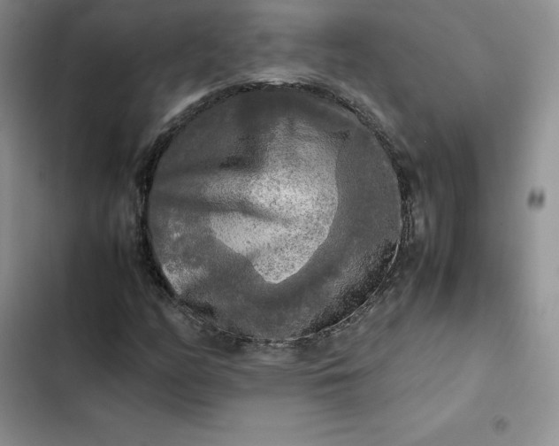 X0000102521158200808221835