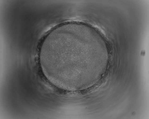 X0000102521159200808221835