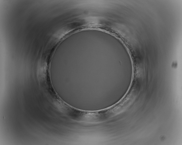 X0000102521161200808221835