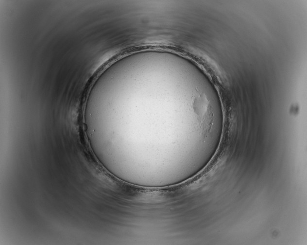 X0000102521162200808221835