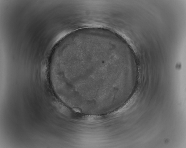 X0000102521163200808221835