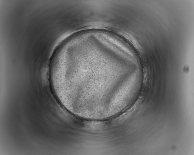 X0000102521164200808221835