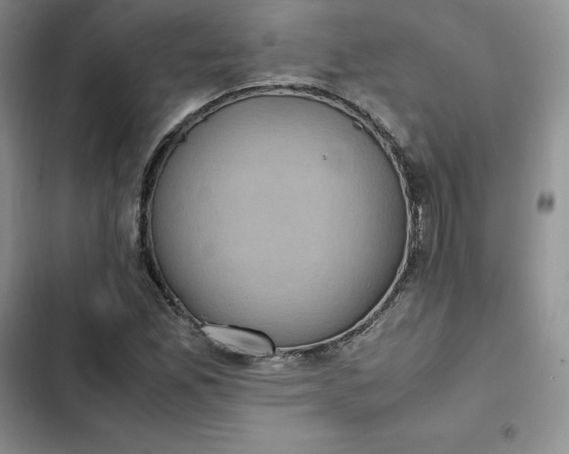 X0000102521165200808221835