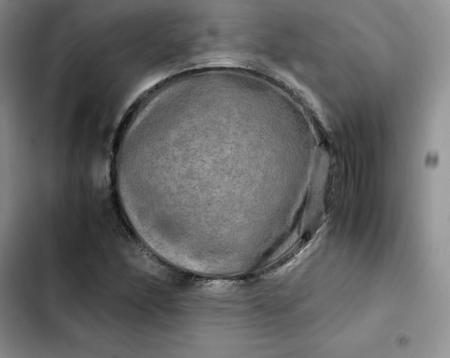 X0000102521166200808221835