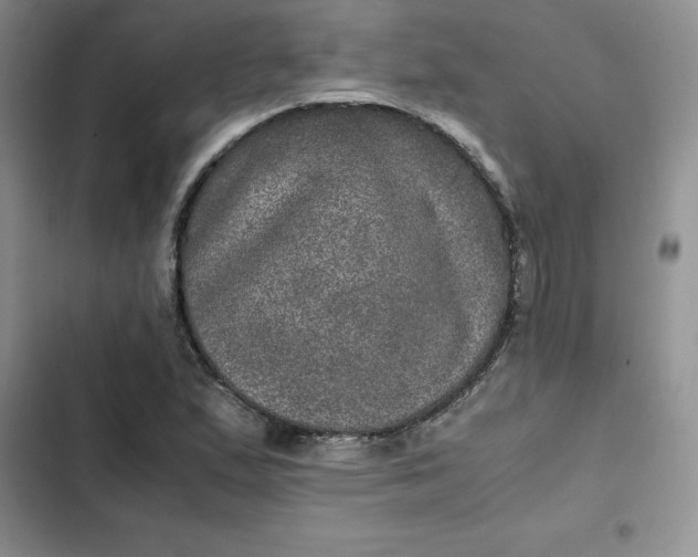 X0000102521167200808221835