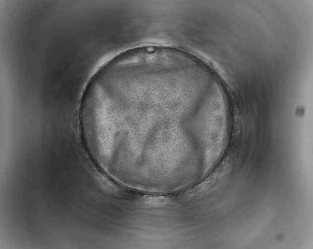 X0000102521168200808221835