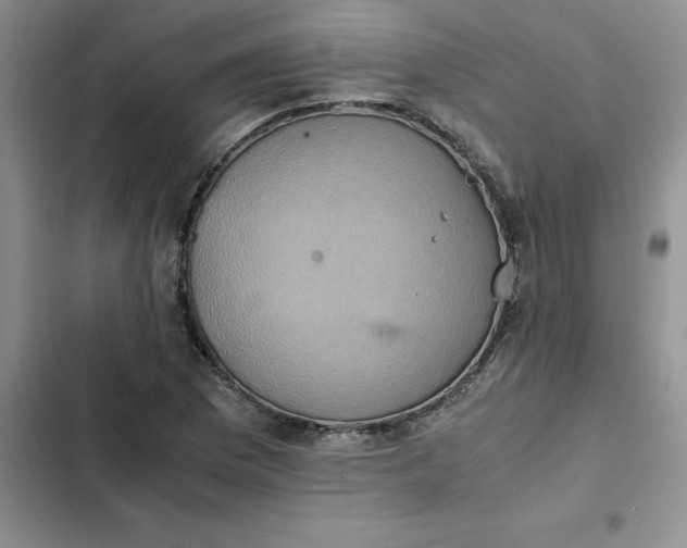 X0000102521169200808221834