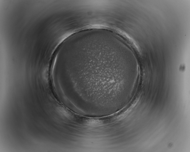 X0000102521170200808221834