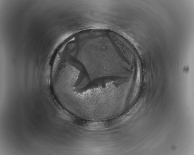 X0000102521171200808221834