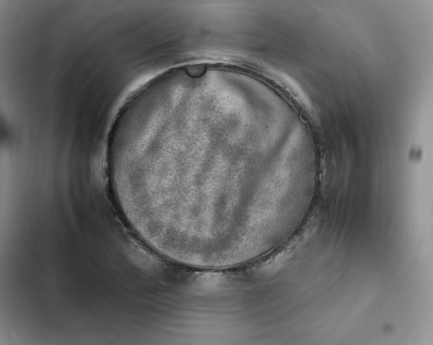 X0000102521172200808221834