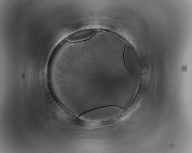 X0000102521173200808221834