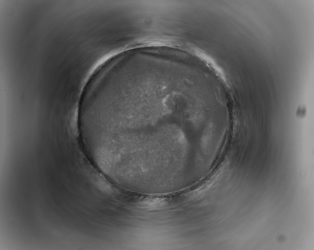 X0000102521174200808221834