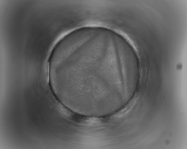 X0000102521175200808221834