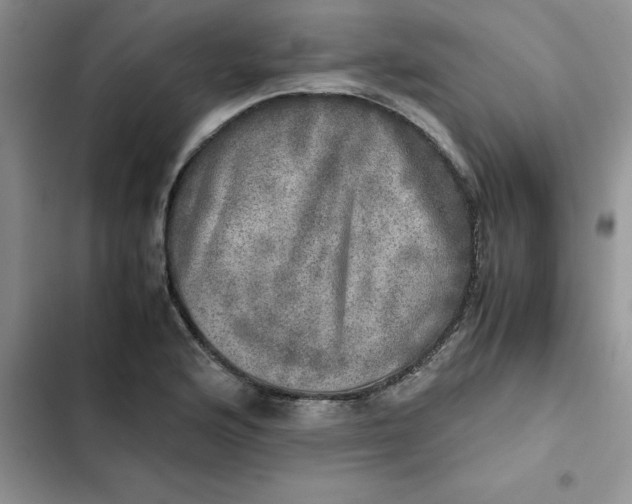 X0000102521176200808221834