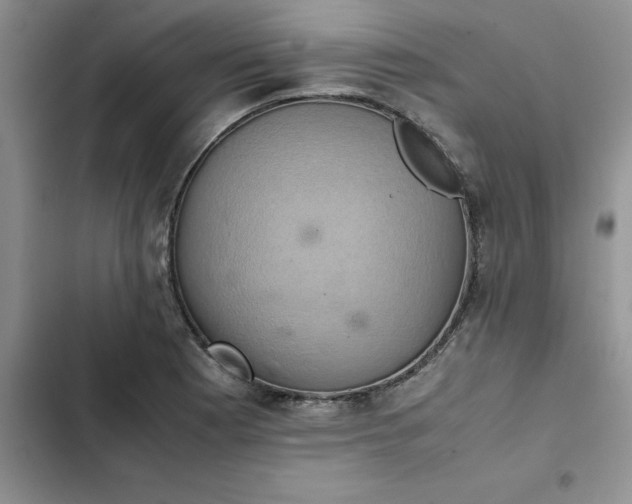 X0000102521177200808221834