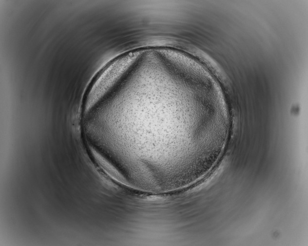 X0000102521178200808221834