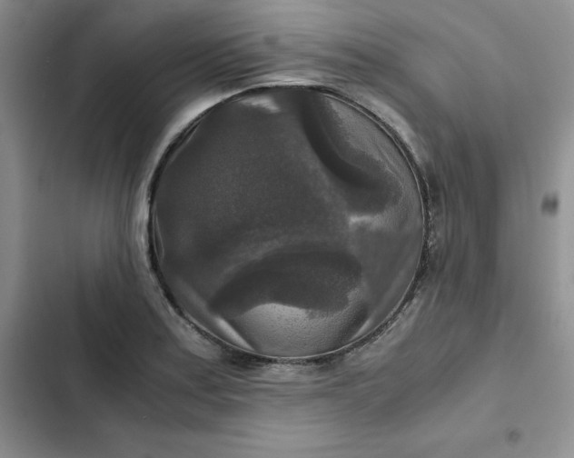 X0000102521179200808221834