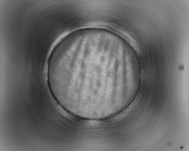 X0000102521180200808221834