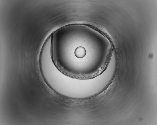 X0000102521181200808221834