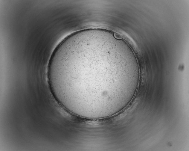 X0000102521182200808221834