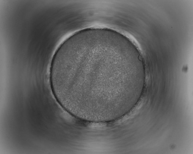 X0000102521183200808221834