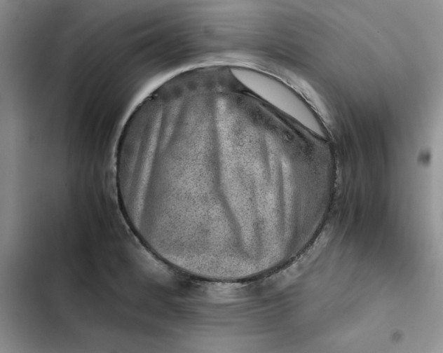 X0000102521184200808221834