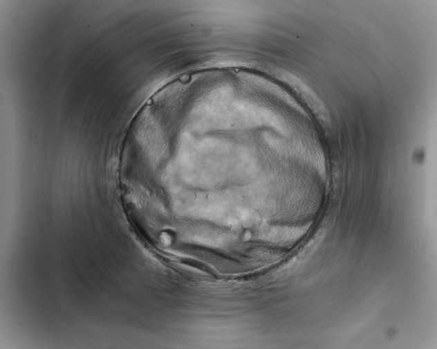 X0000102521185200808221834