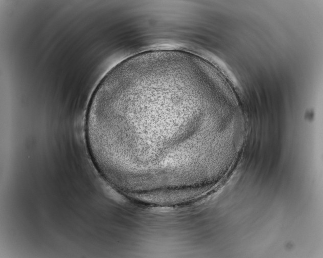 X0000102521186200808221834