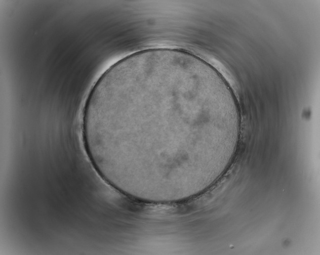 X0000102521187200808221834