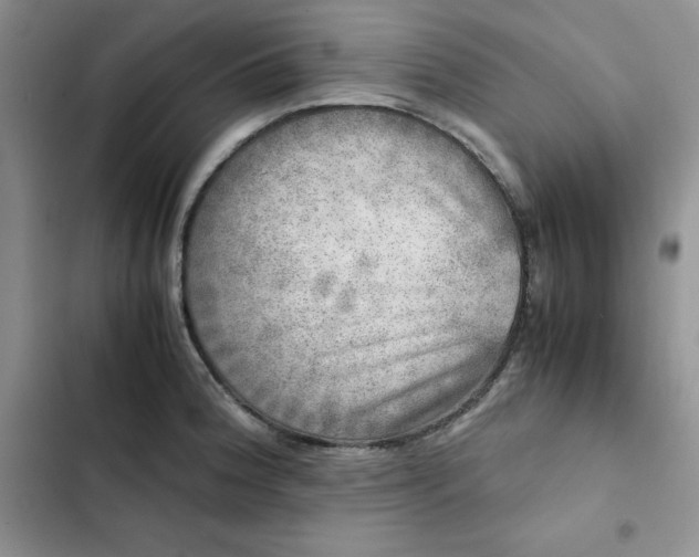 X0000102521188200808221834