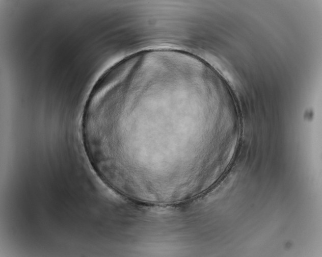 X0000102521189200808221834