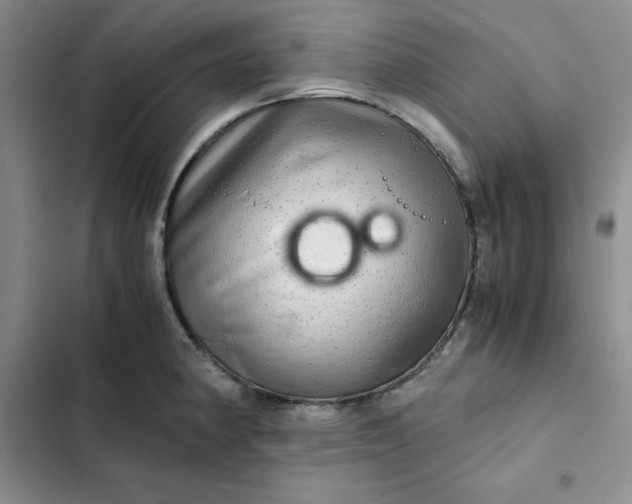 X0000102521190200808221834