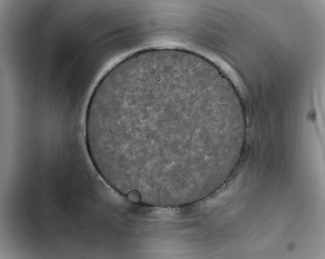 X0000102521191200808221834