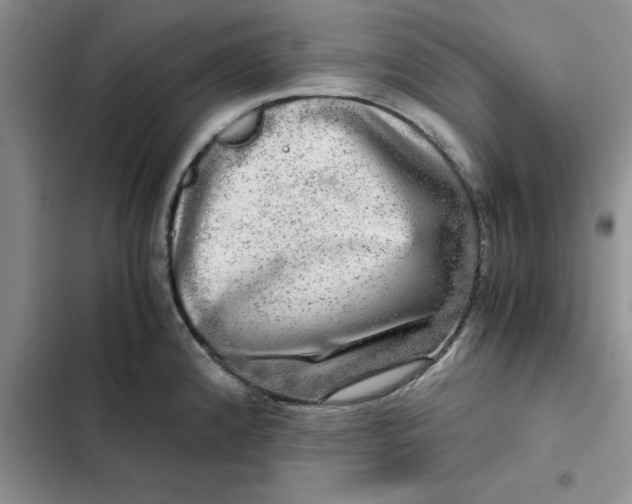 X0000102521192200808221834