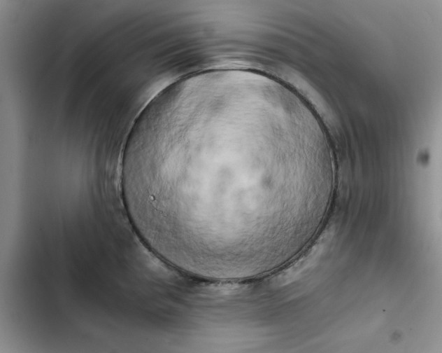 X0000102521193200808221834