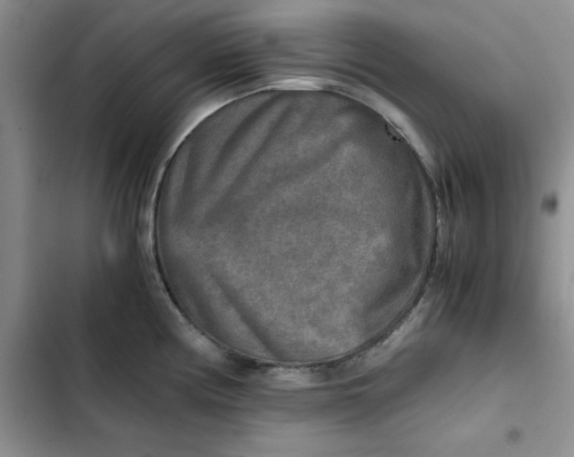 X0000102521194200808221834