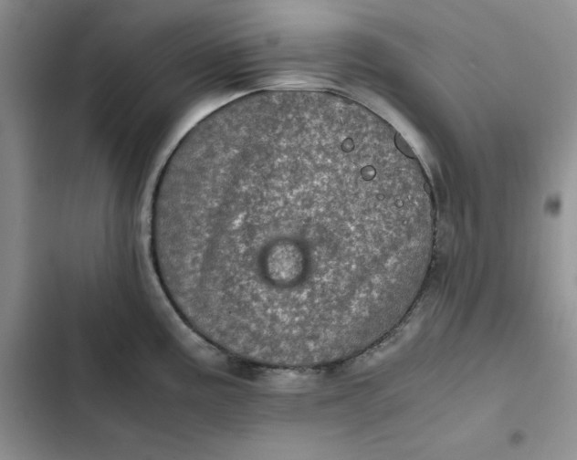 X0000102521195200808221834