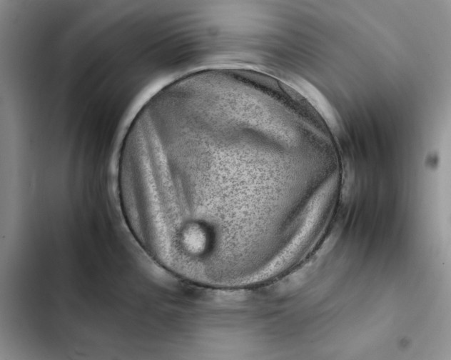 X0000102521196200808221834