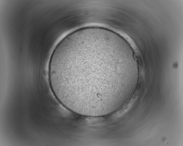 X0000102521199200808221834